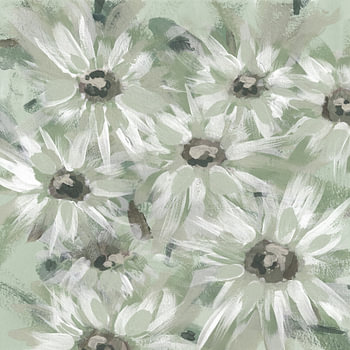Fleurs de sauge délicates