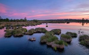 Brackvenn, Hohes Venn, Belgien