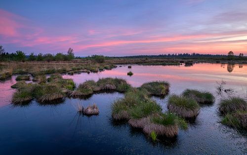 Brackvenn, Hoge Venen, België
