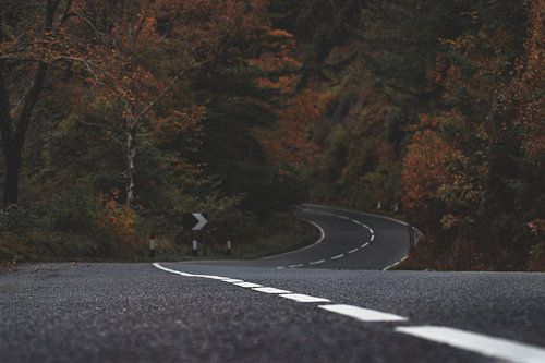 Une route vide dans une forêt d'automne.
