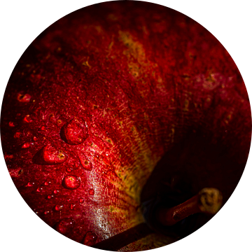Macro rode appel met waterdruppel en vignet van Dieter Walther