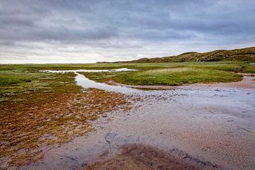 Naturschutzgebiet De Slufter auf der Insel Texel von Rob Boon