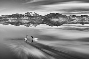 Landschaft mit Schwänen und Vulkanen, die sich in einem See spiegeln, in Schwarz und Weiß
