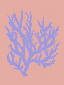 Pastel Coral No 01