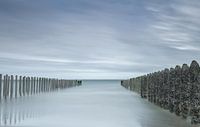 Palen met mosselen Normandische kust