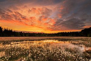 Zonsondergang boven de veenpluis