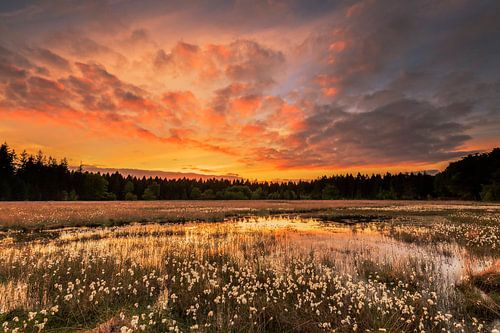 Sunset over the peat bog by Karla Leeftink