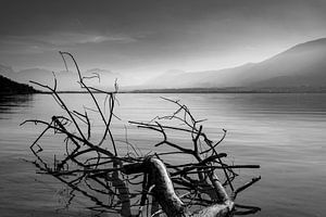 Bois sur le lac sur celine bg