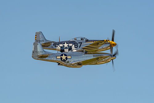 wee North American P-51D Mustangs.
