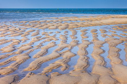 wadlandschap in het natuurgebied Ellenbogen, Sylt