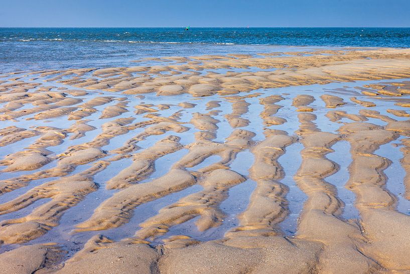 mudflat landscape in the Ellenbogen nature reserve, Sylt by Christian Müringer