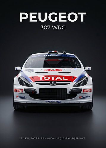 Peugeot 307 WRC-Rallyeauto – Frontansicht (Studioaufnahme)