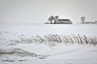 Une ferme isolée dans la neige à Groningue par Frans Lemmens Aperçu