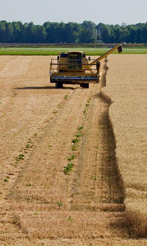 Tijdens het werken beter niet drinken...