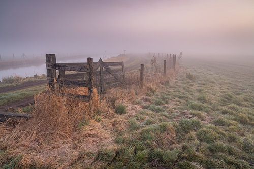 Atmosphäre im Polder