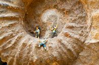 Miniaturen op ammoniet fossiel van Michelle Peeters thumbnail