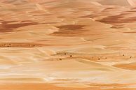 Woestijn kleurschakeringen in het zand van Anita Loos thumbnail
