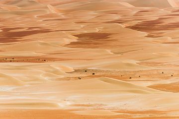Nuances de couleurs du désert dans le sable