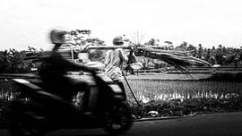 Nouvelle génération sur Lars Korzelius