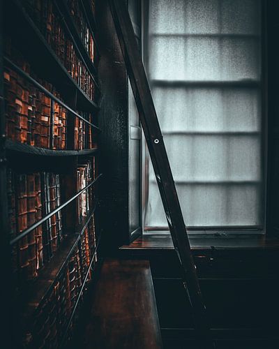 Ladder naar het Licht