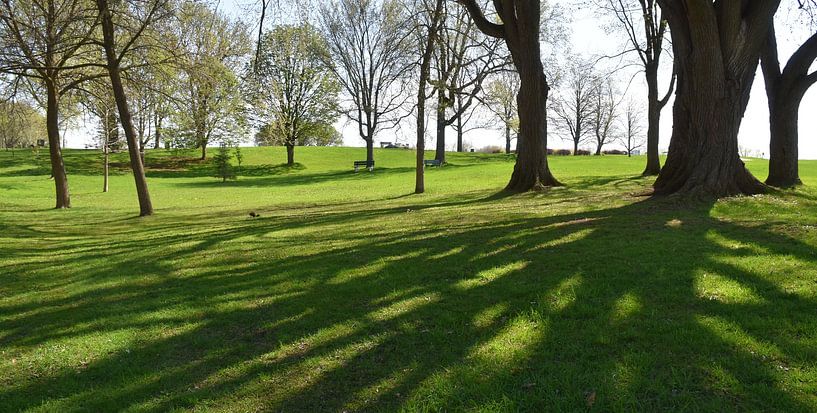 Abrahams Felder im Frühling von Claude Laprise
