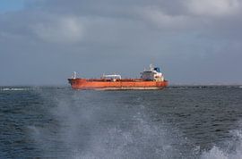 Seeschiff auf dem Weg zur See bei Hoek van Holland von scheepskijkerhavenfotografie