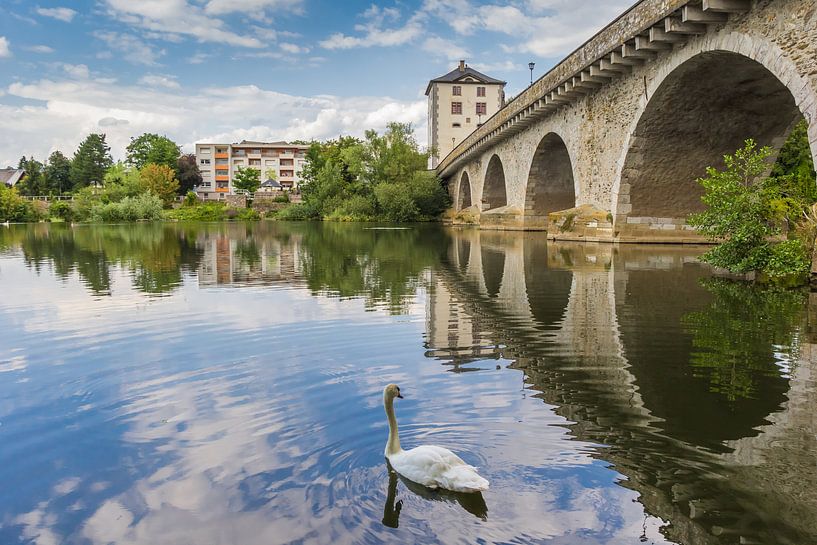 Witte Zwaan bij de oude brug in Limburg an der Lahn van Marc Venema