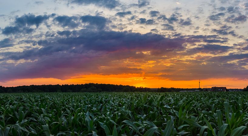 Duitsland, XXL Kleurrijke zonsondergang hemel achter groene velden van adventure-photos