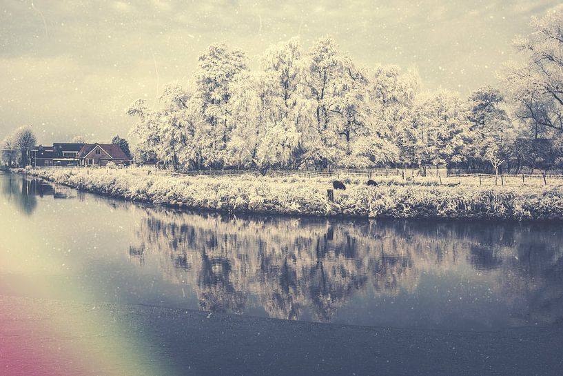 Gorredijk van Wolbert Erich