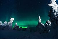 Dance of the northern lights