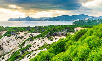 Blick auf die Küste der Bucht von Cala Rajada auf der Insel Mallorca, von Alex Winter