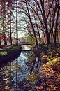 Herfst in Golden Head Park, Lyon Frankrijk van Carolina Reina thumbnail