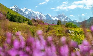 Uitzicht op de Georgische bergtoppen en gletsjers van Leo Schindzielorz