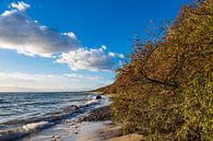 Ostseeküste bei Klintholm Havn in Dänemark von Rico Ködder Miniaturansicht