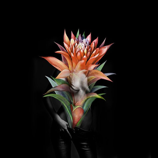 Erotische Guzmania Blume von Dreamy Faces