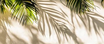 Palm leaves cast shadows on the wall by Poster Art Shop