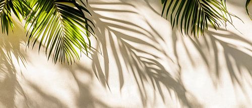 Palmbladeren werpen schaduwen op de muur
