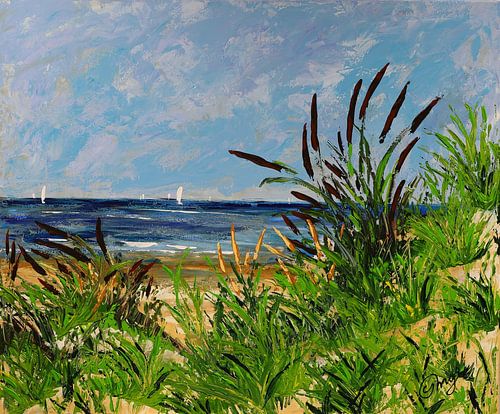 Sea view from the dunes