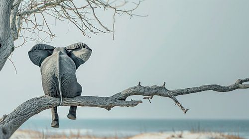 Elefant auf der Suche nach Freiheit