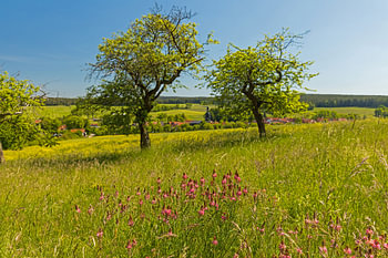 Landschaft in Thüringen im Frühling