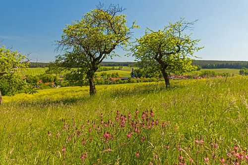 Landscape in Thuringia in spring