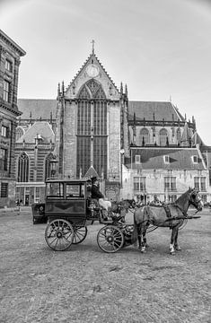 Horse and cart on Dam Square by Don Fonzarelli