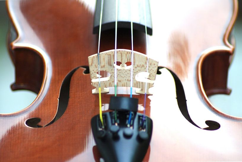 violon 3 / détail de la partie centrale en position couchée par Studio Miandala