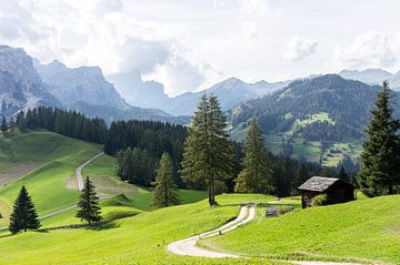 Wanderweg durch die italienische Landschaft von Lynn Haverhals