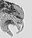 Adler von Jose Lok Miniaturansicht