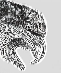 Adler