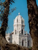 Gotisch klooster doorkijkje