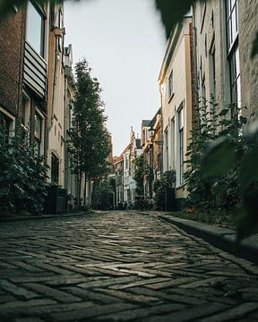 Schöne Straße in Haarlem von Sebastiaan van 't Hoog
