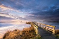 Das Dannemeer am Roegwold, Slochteren