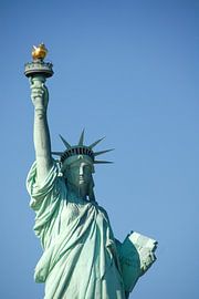 Detail van het Vrijheidsbeeld , New York. van Jan Fritz